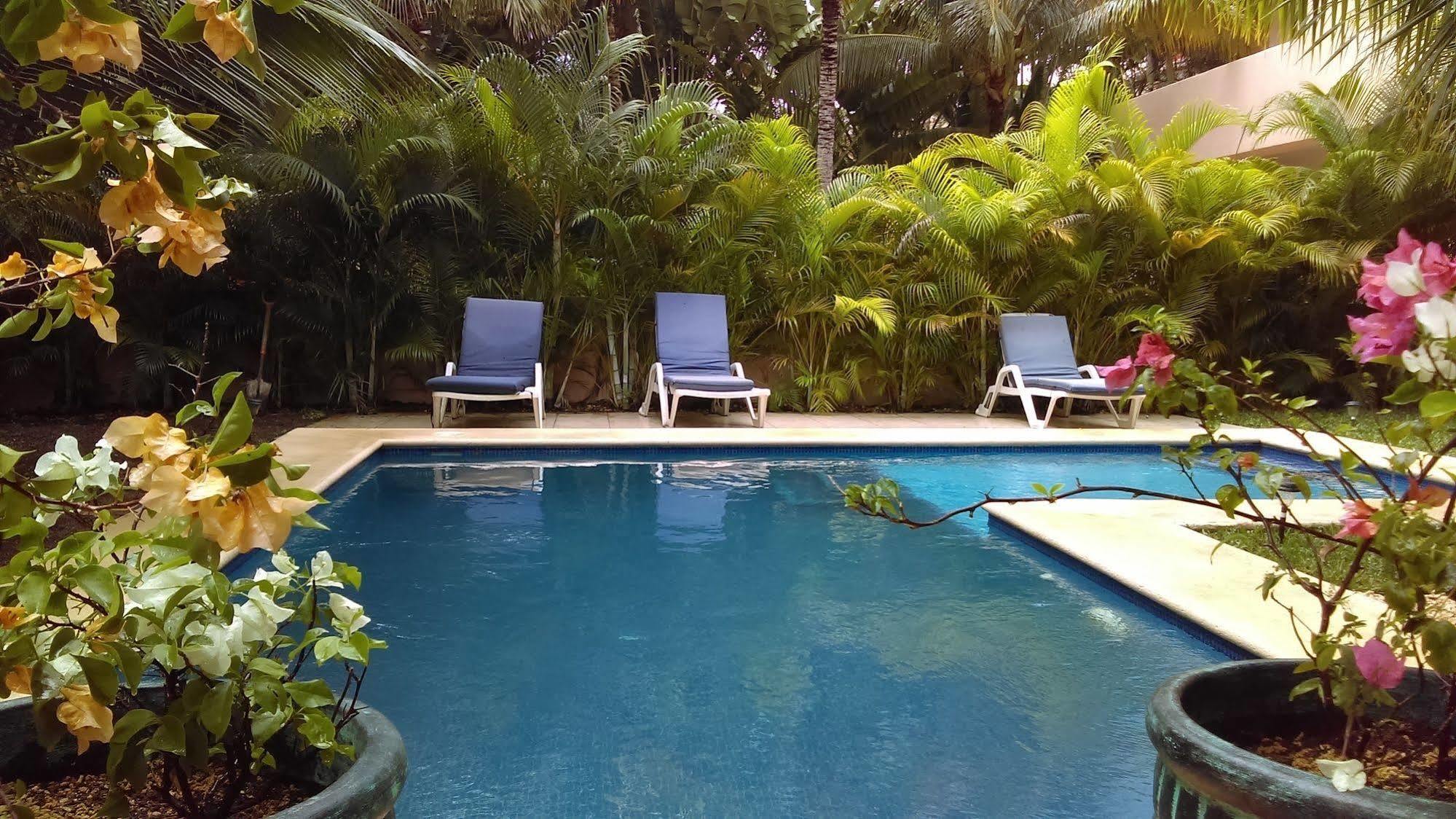 פורטו אוונטורס Villas Picalu Lodge מראה חיצוני תמונה